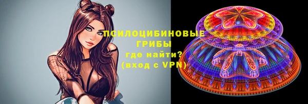 мдпв Магадан
