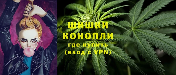 стафф Медвежьегорск