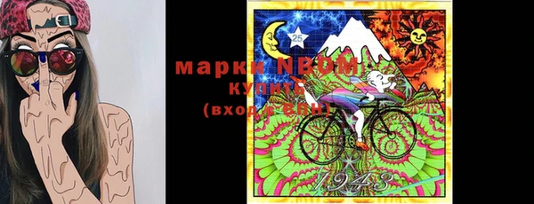 стафф Медвежьегорск