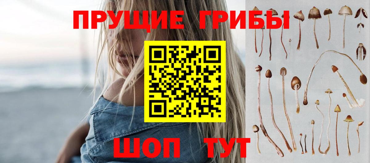 Псилоцибиновые грибы GOLDEN TEACHER  Галлюциногенные грибы прущие грибы  Вход с VPN  Ковров 