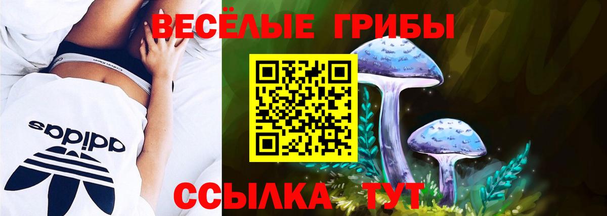 наркошоп  Галлюциногенные грибы GOLDEN TEACHER  Ковров  Галлюциногенные грибы Magic Shrooms 